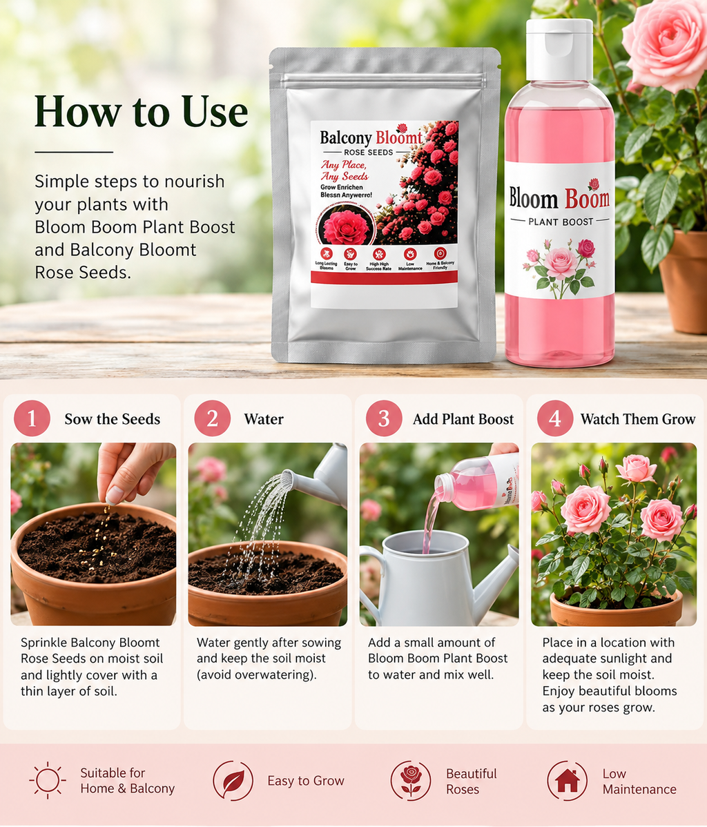 🌹 Balcony Bloom Rose Seeds™ – Grow Beautiful Roses at Home