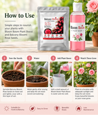 🌹 Balcony Bloom Rose Seeds™ – Grow Beautiful Roses at Home